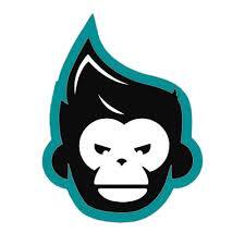 Pickeball Apes